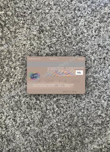Sweden Swedbank mastercard photolook back